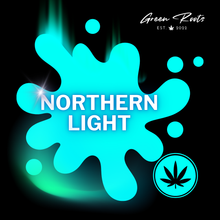 Lade das Bild in den Galerie-Viewer, NORTHERN LIGHT XL (AUTO) SAMEN 3er PACKS