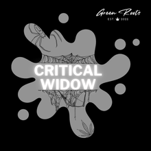 Lade das Bild in den Galerie-Viewer, CRITICAL WIDOW (AUTO) SAMEN 3er PACKS