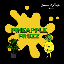 Lade das Bild in den Galerie-Viewer, PINEAPPLE FRUZZ SAMEN 3er PACKS