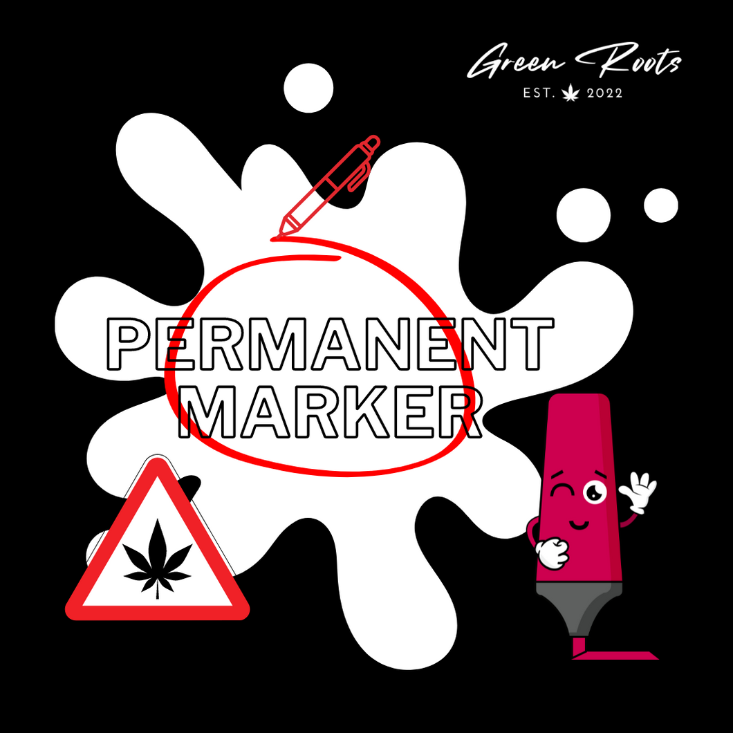 PERMANENT MARKER SAMEN 3er PACKS