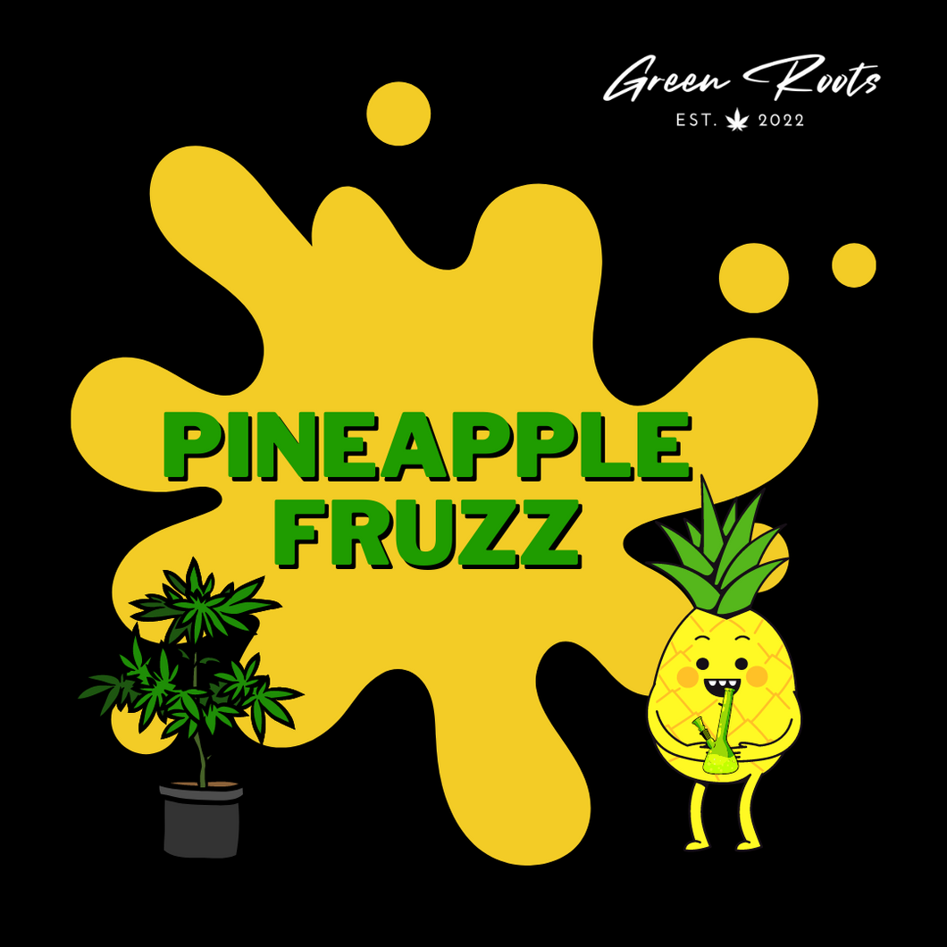 PINEAPPLE FRUZZ SAMEN 3er PACKS