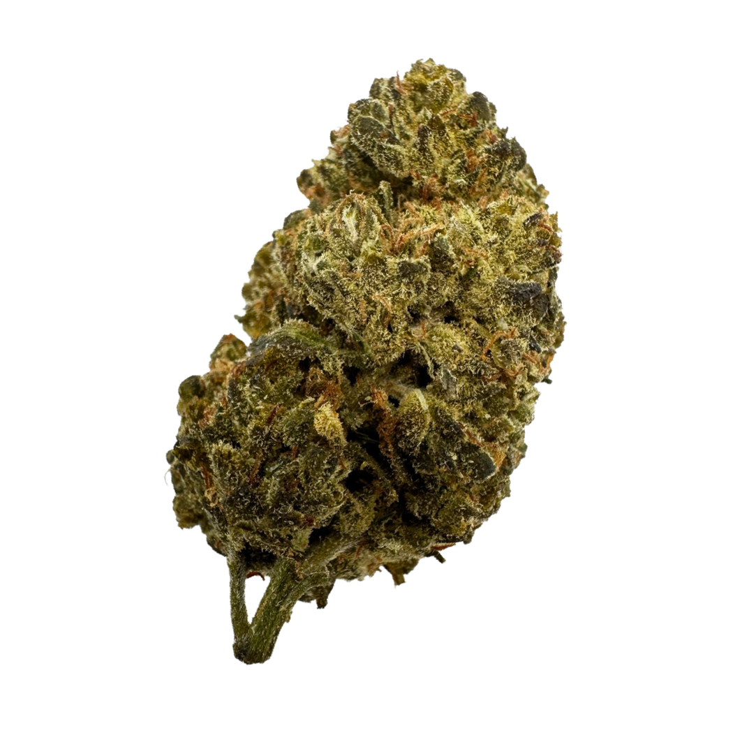 AMNESIA
